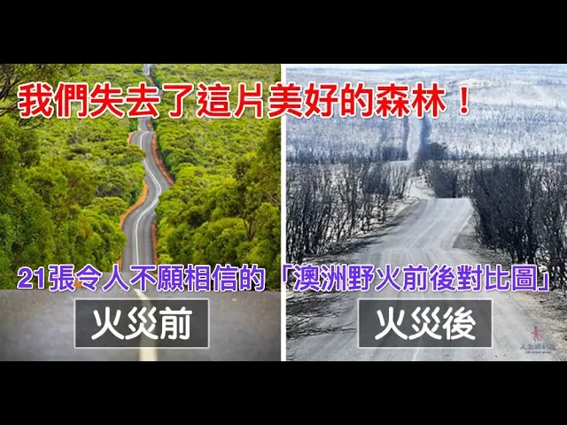 我們失去了這片美好的森林...21張令人不願相信的「澳洲野火前後對比圖」